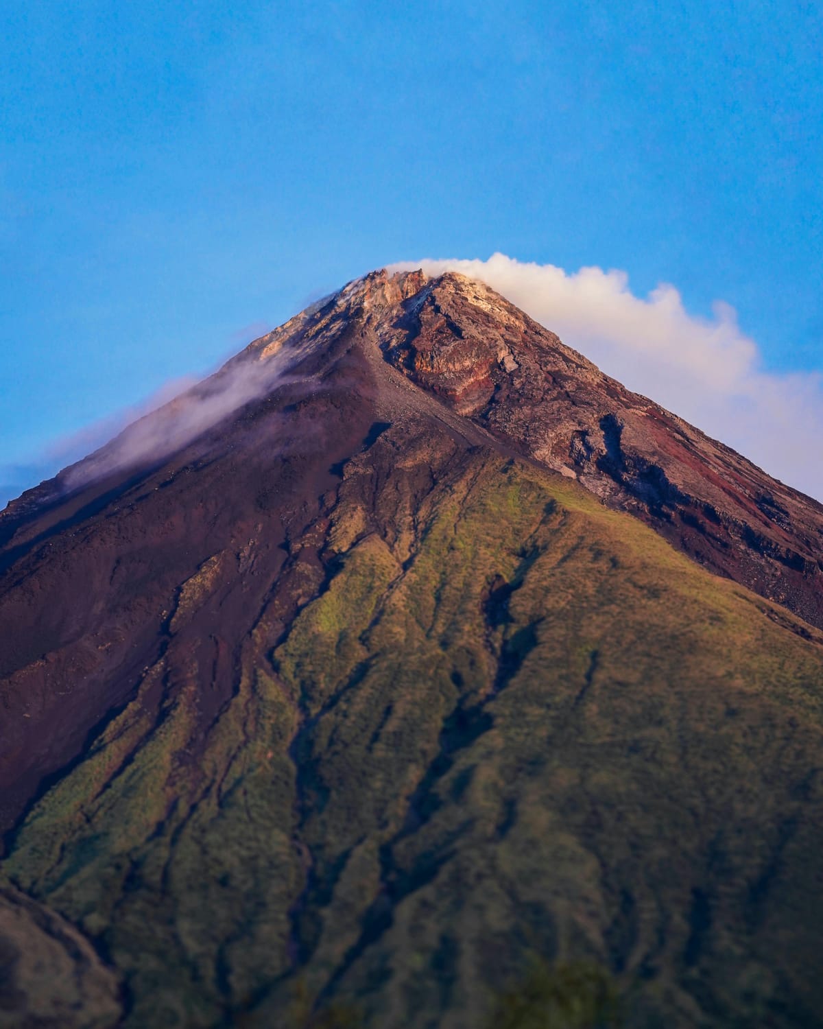 Saturday - Jan 10, 2026